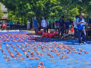 Al-Khairiyah Sukses Gelar Pemotongan Hewan Qurban, Dukungan Perusahaan Wujudkan Berkah Bersama