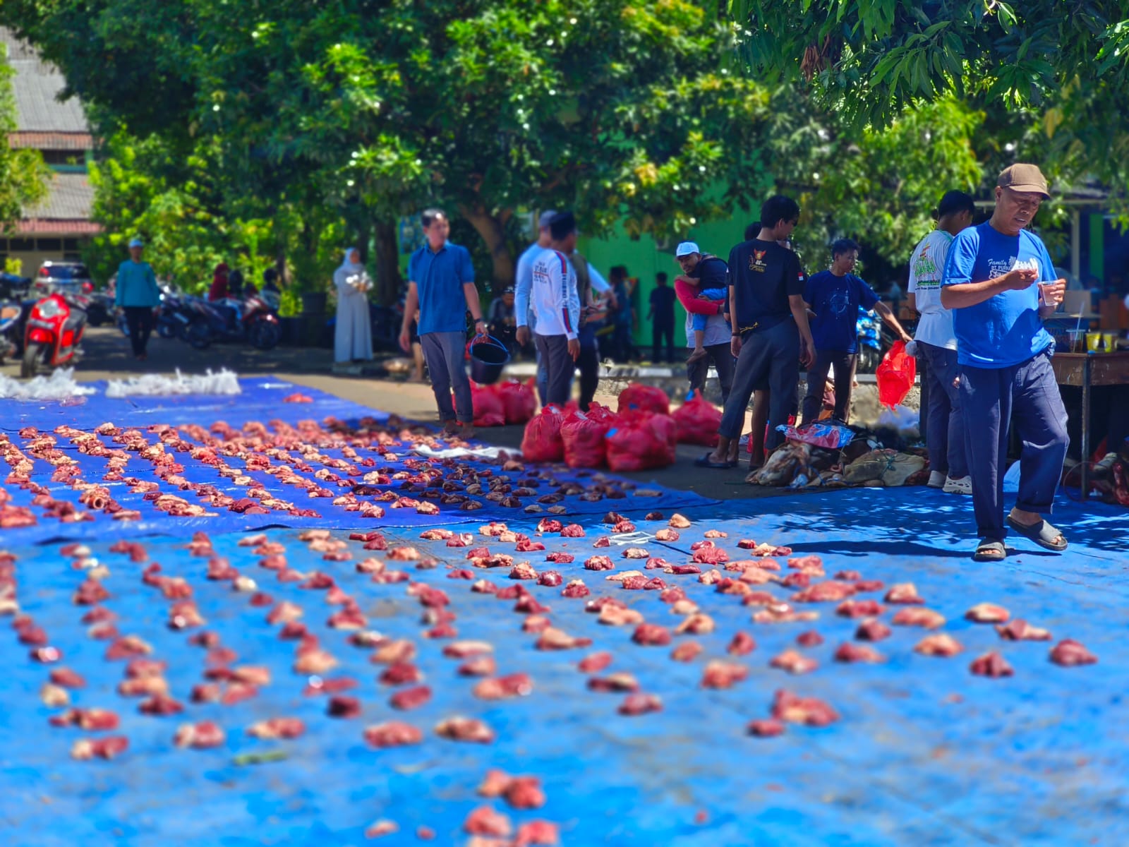 Al-Khairiyah Sukses Gelar Pemotongan Hewan Qurban, Dukungan Keluarga Besar Al-Khairiyah Wujudkan Berkah Bersama